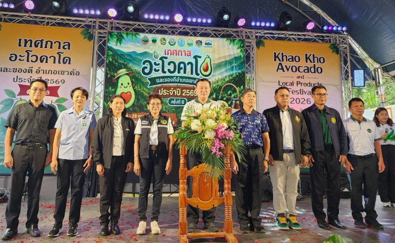 จังหวัดเพชรบูรณ์ เปิดงานเทศกาลอะโวคาโดและของดี อำเภอเขาค้อ ครั้งที่ 8